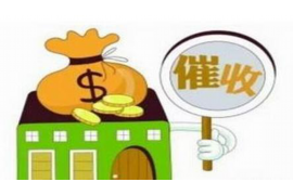 泗洪为什么选择专业追讨公司来处理您的债务纠纷？